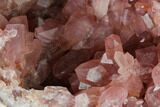 Beautiful, Pink Amethyst Geode Half - Argentina #170174-1